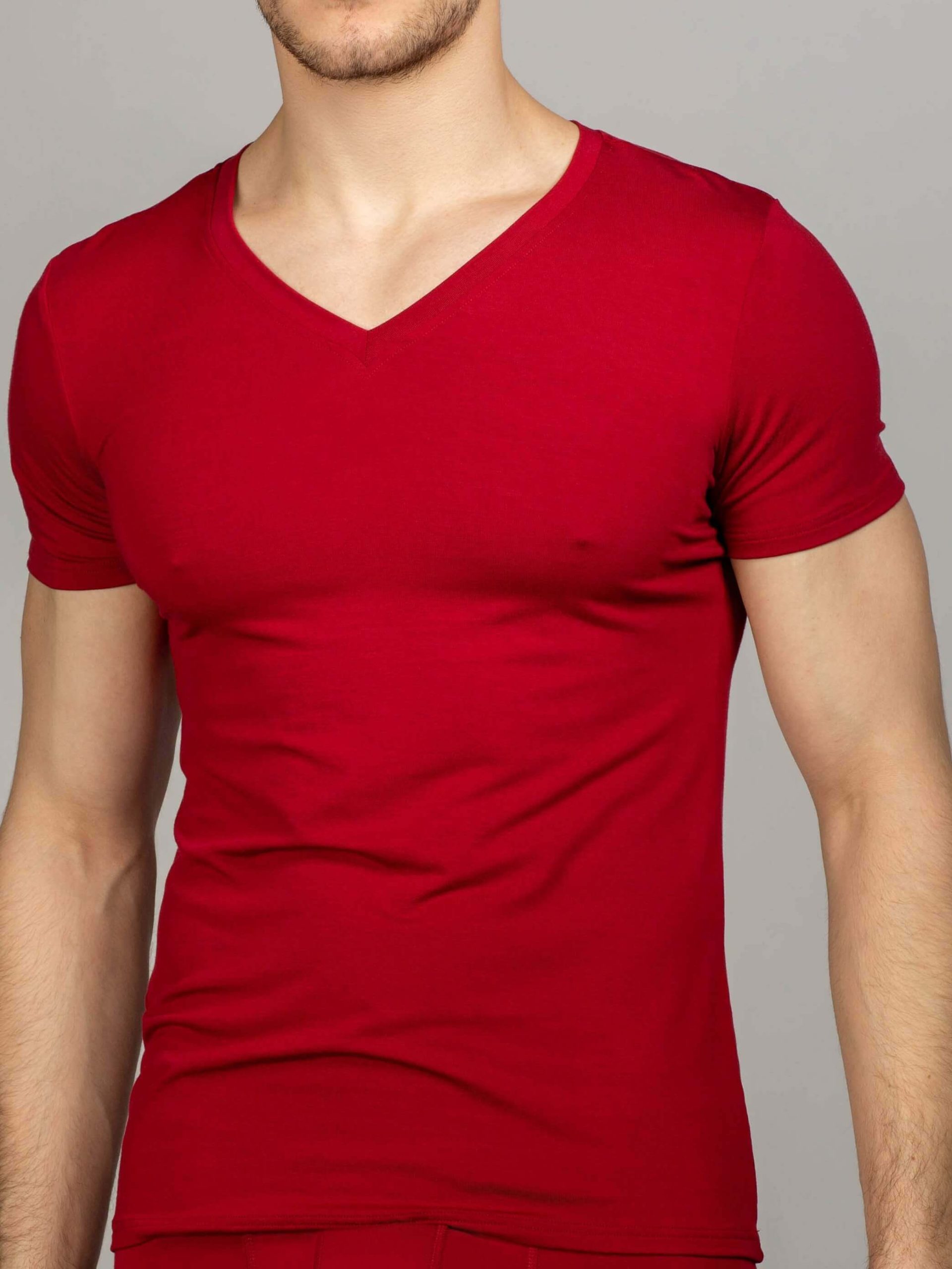 Купить мужскую футболку v вырезом. Футболка мужская. Бордовая футболка мужская. Футболка с треугольным вырезом мужская. Темно красная футболка.